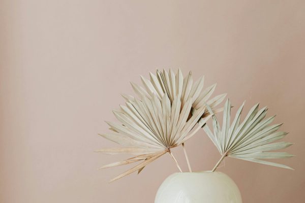 pexels-karolina-grabowska-6805398